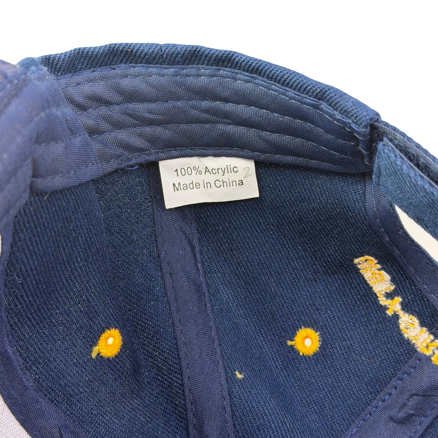 Teamsters Local 495 Hat