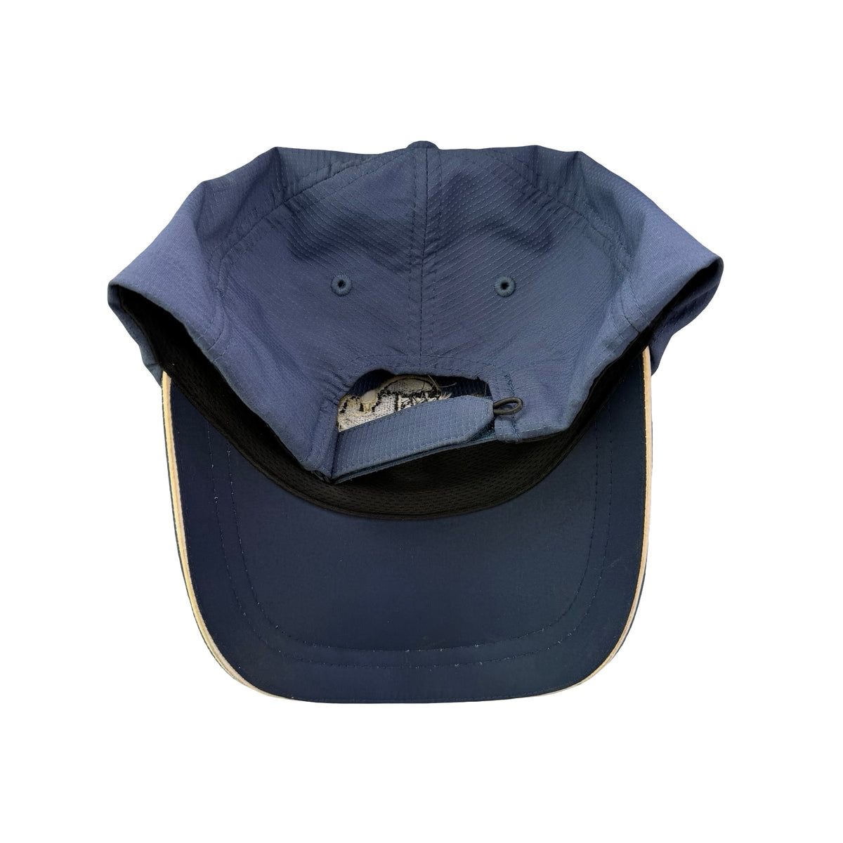 Griffith Observatory California Dad Hat