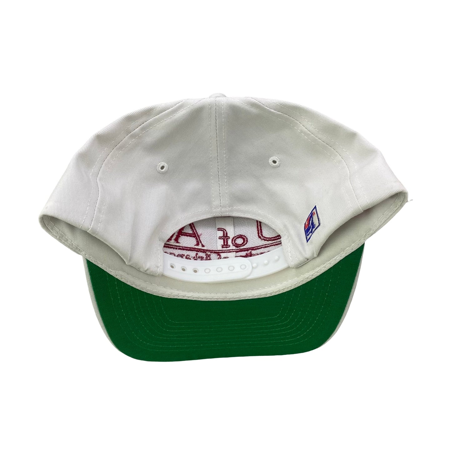 Vintage 90s Arkansas Razorbacks Split Bar College x The Game Hat