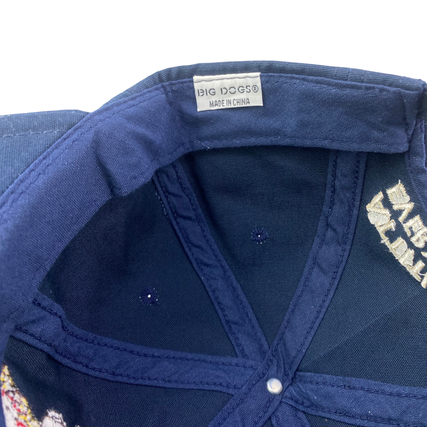 Vintage Big Dogs - Hawaii Big Kahuna Dad Hat
