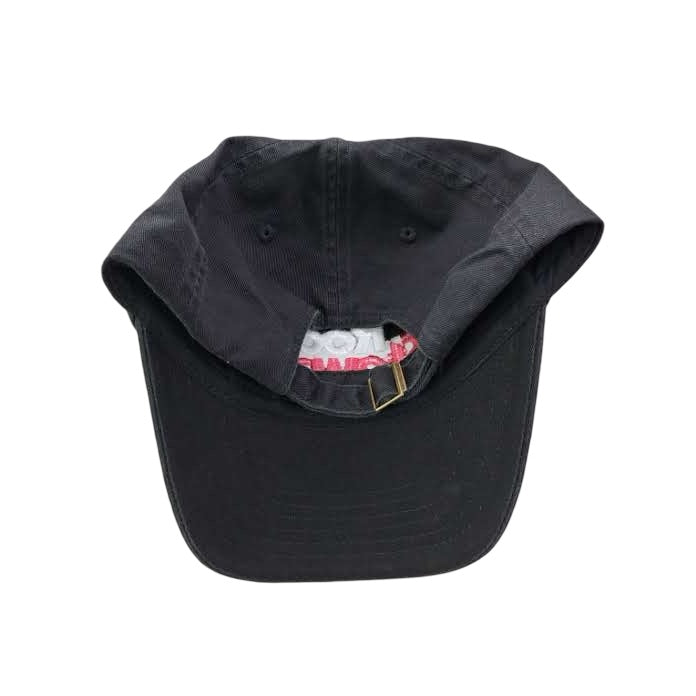Rod Stewart Tour Dad Hat