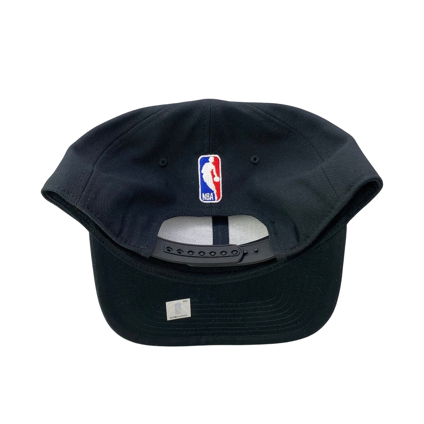 Toronto Raptors Logo Hat