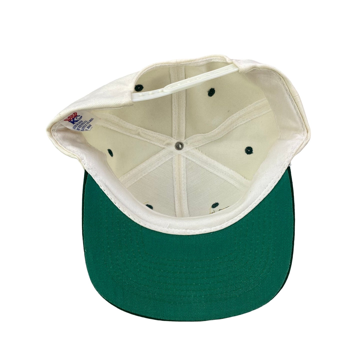 Vintage 1995 Green Bay Packers Central Division Champions Hat
