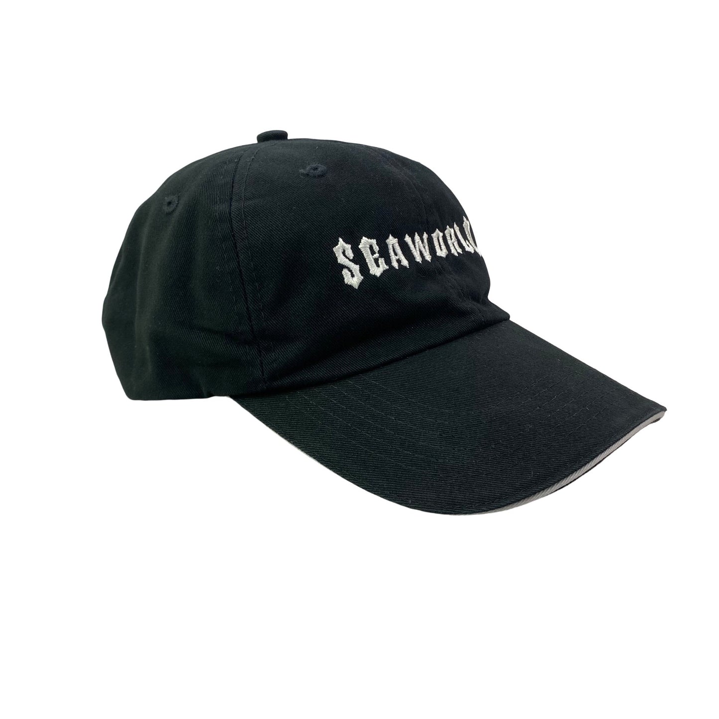 Sea World Dad Hat