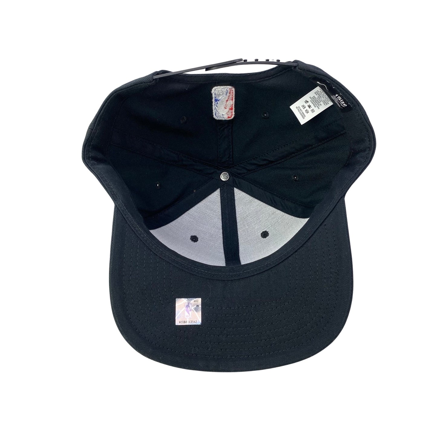 Toronto Raptors Logo Hat