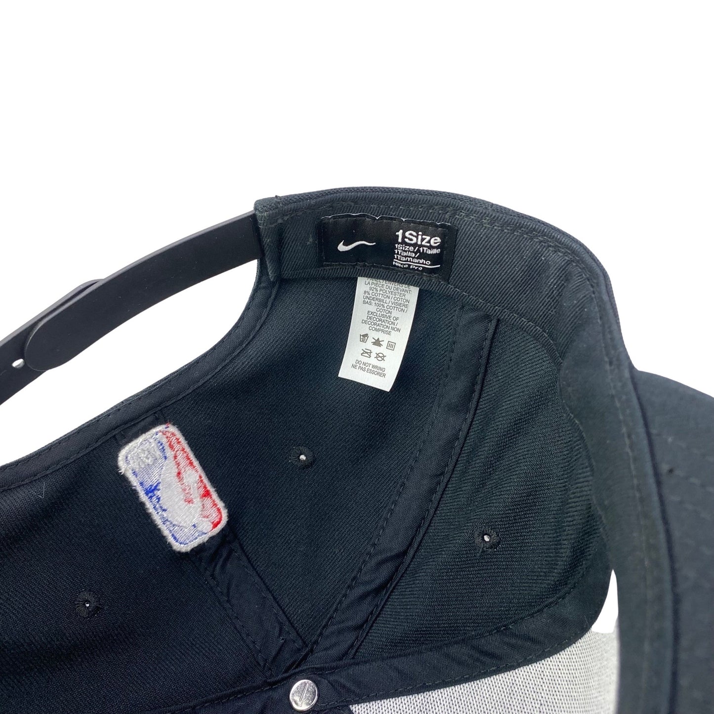 Toronto Raptors Logo Hat