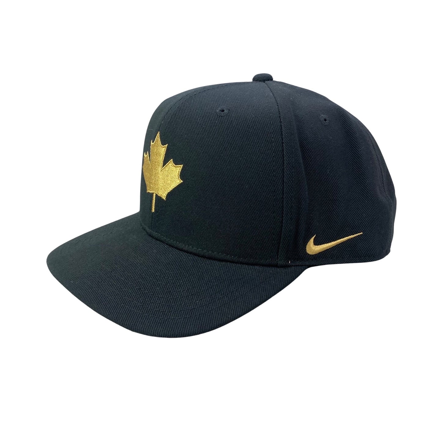 Toronto Raptors Logo Hat