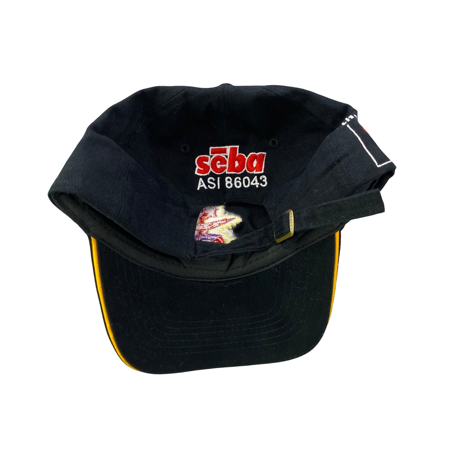 The SAAC Show Dad Hat