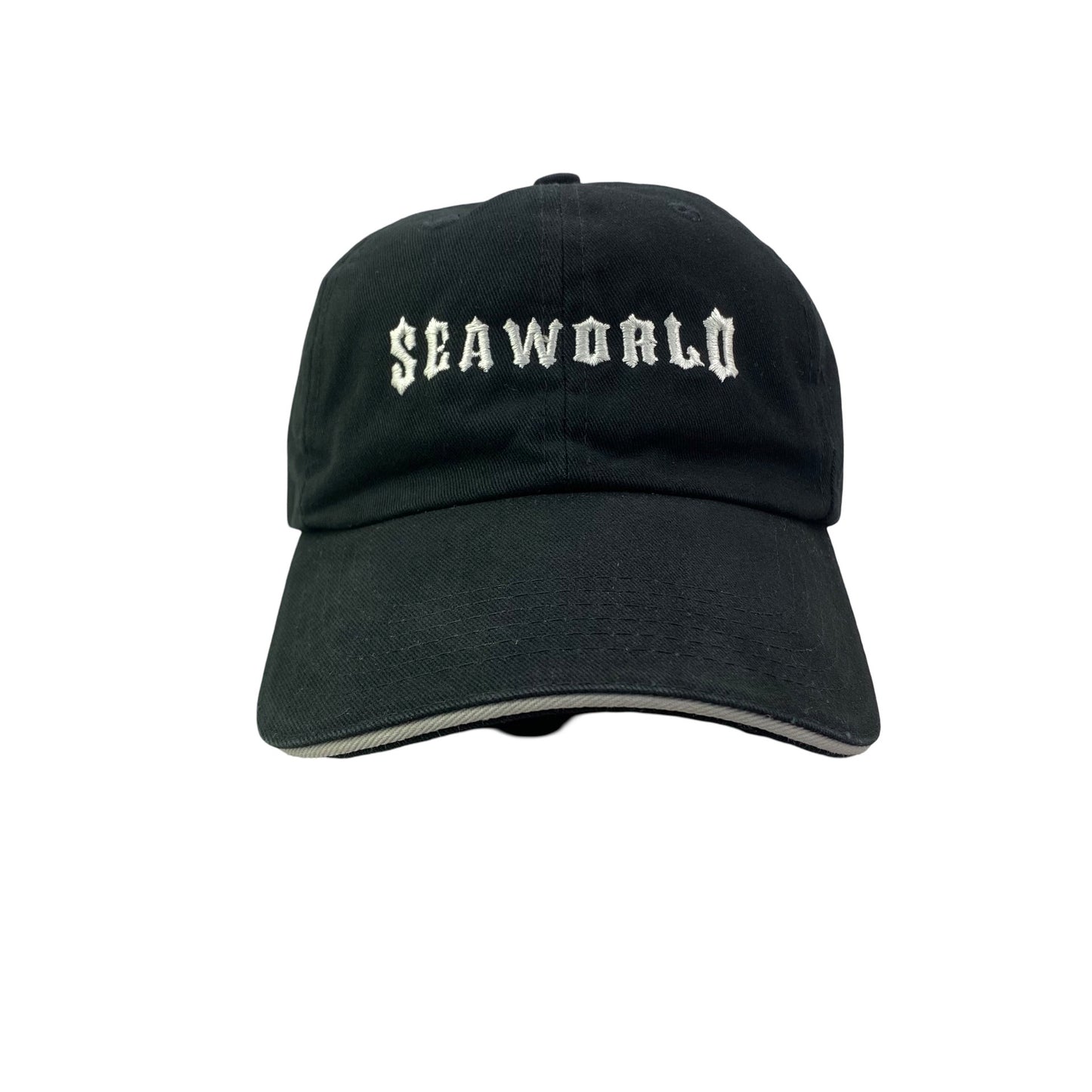 Sea World Dad Hat