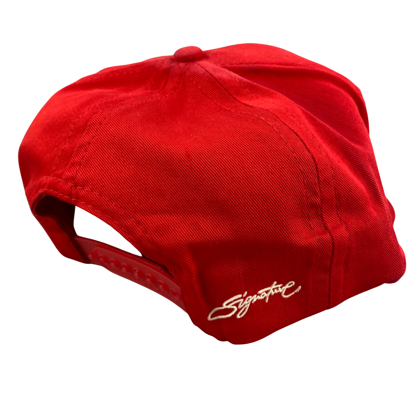 Vintage 90s Wisconsin Badgers Signature Hat