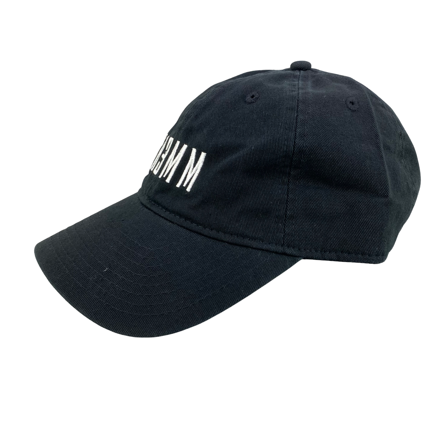 Rae Sremmurd SREMM VIP Tour Promo Dad Hat