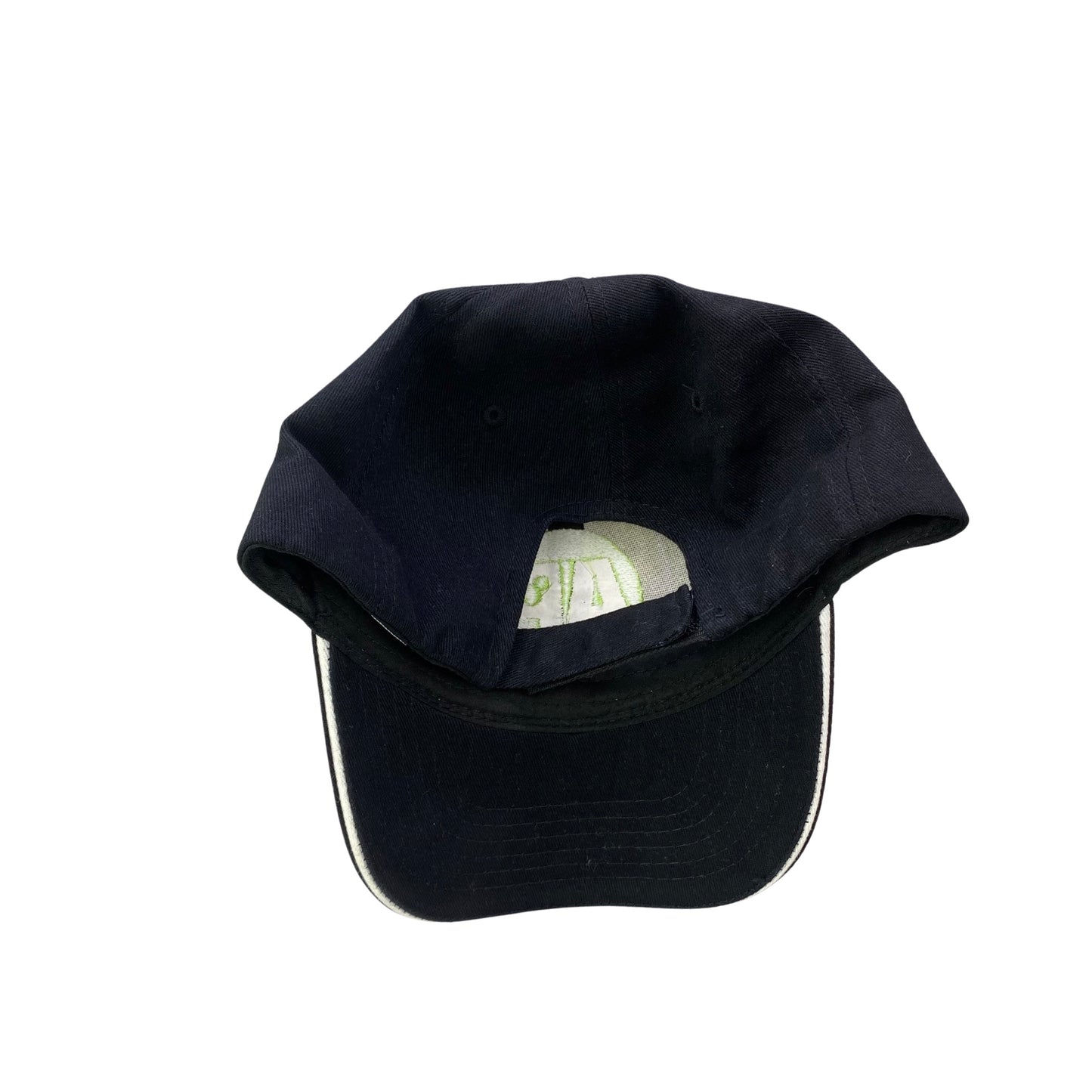 Disney Annual Passholder Dad Hat