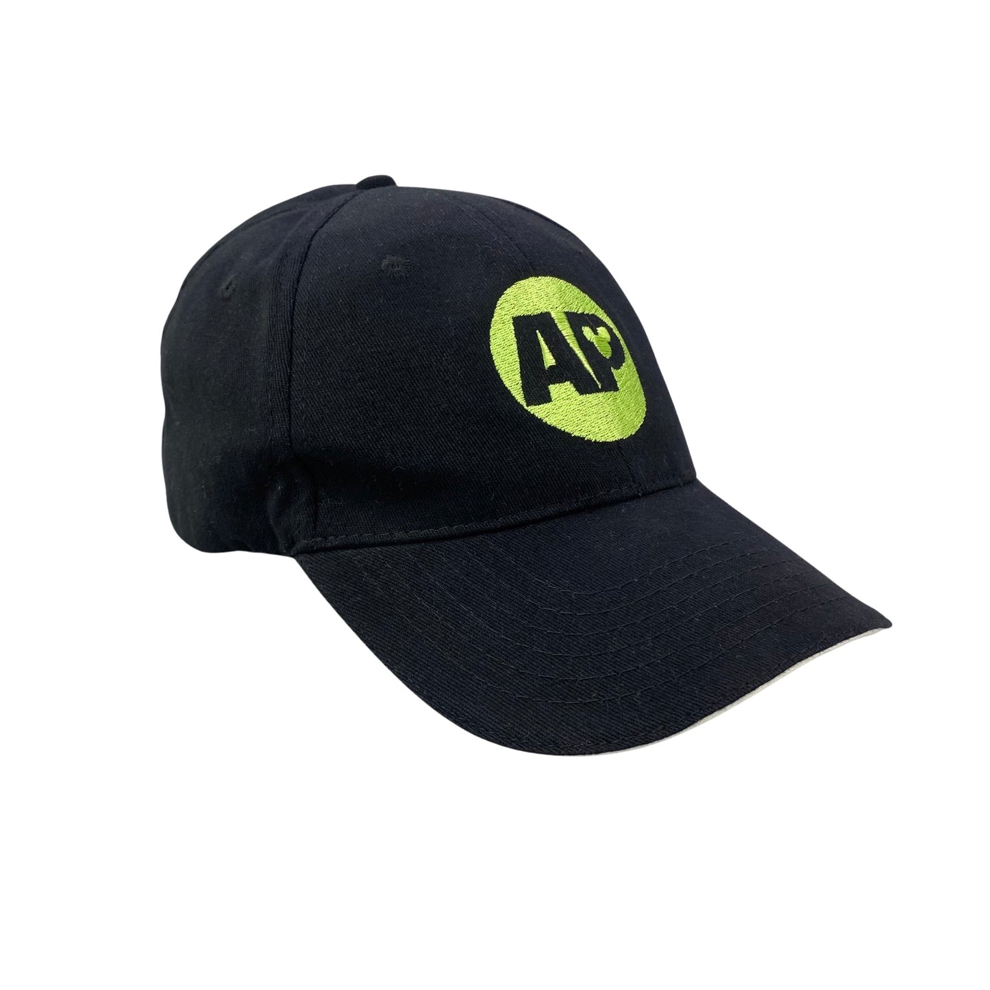Disney Annual Passholder Dad Hat
