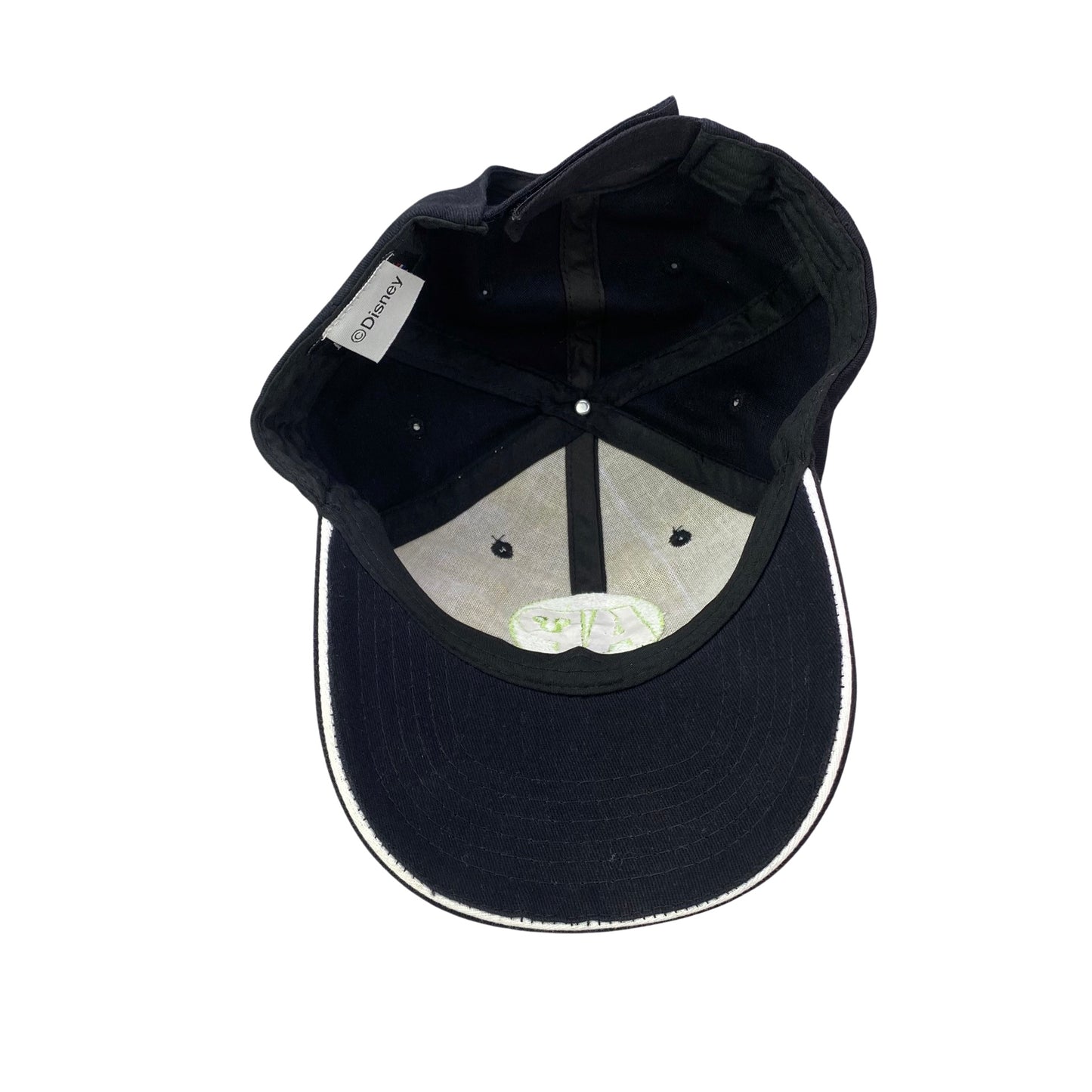 Disney Annual Passholder Dad Hat