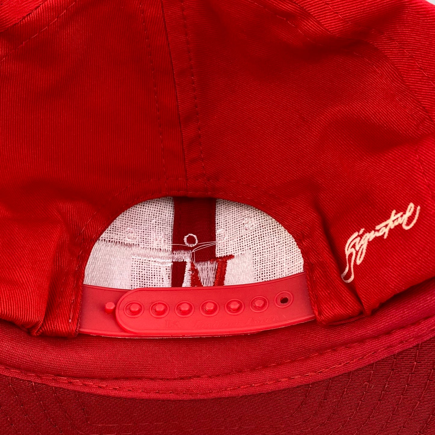 Vintage 90s Wisconsin Badgers Signature Hat