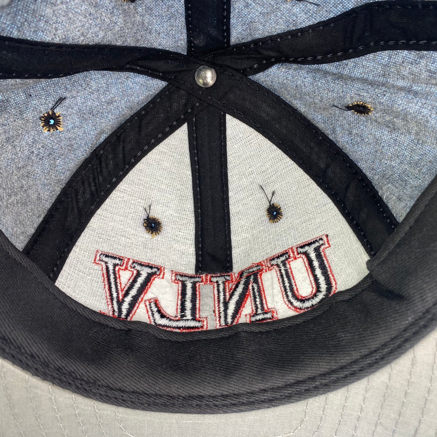 Vintage 90s University of Nevada Las Vegas (UNLV) Rebels College Football Hat