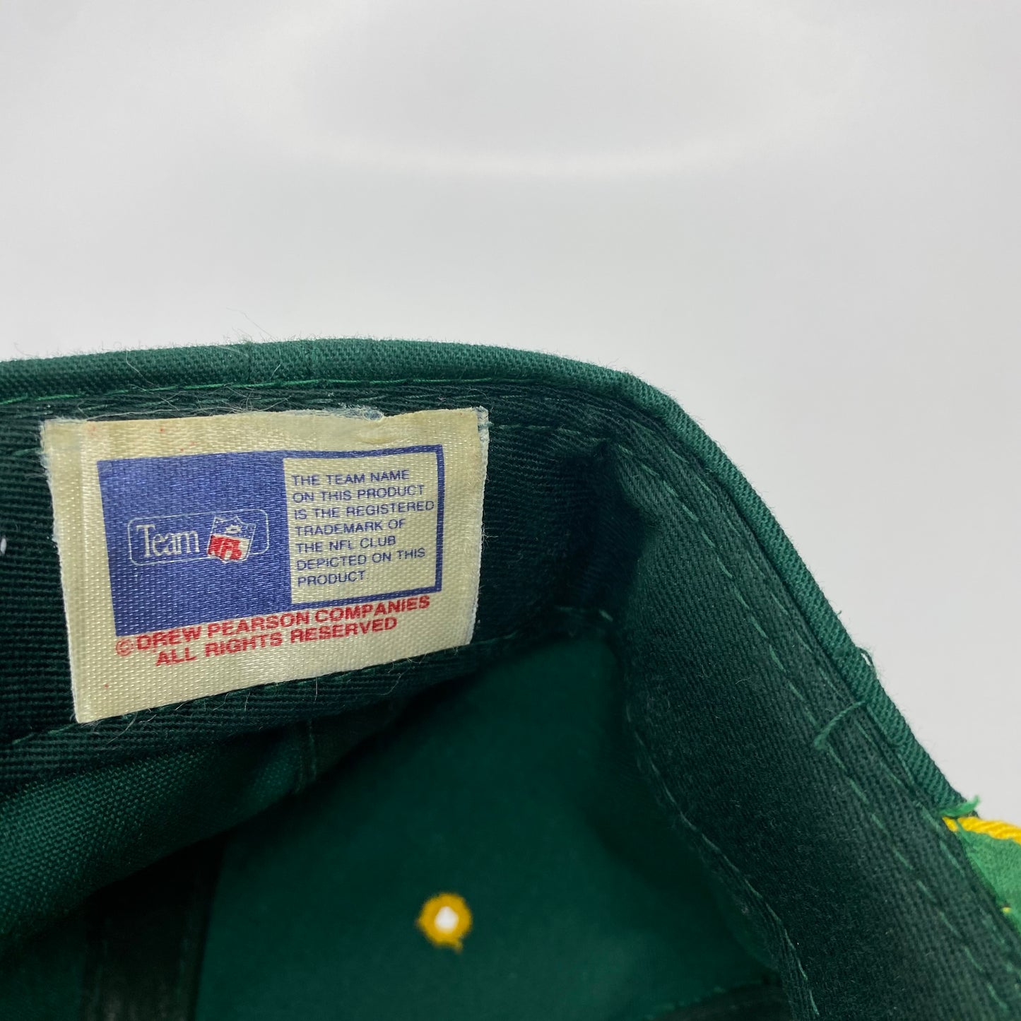 Vintage 1995 Green Bay Packers Central Division Champions Hat
