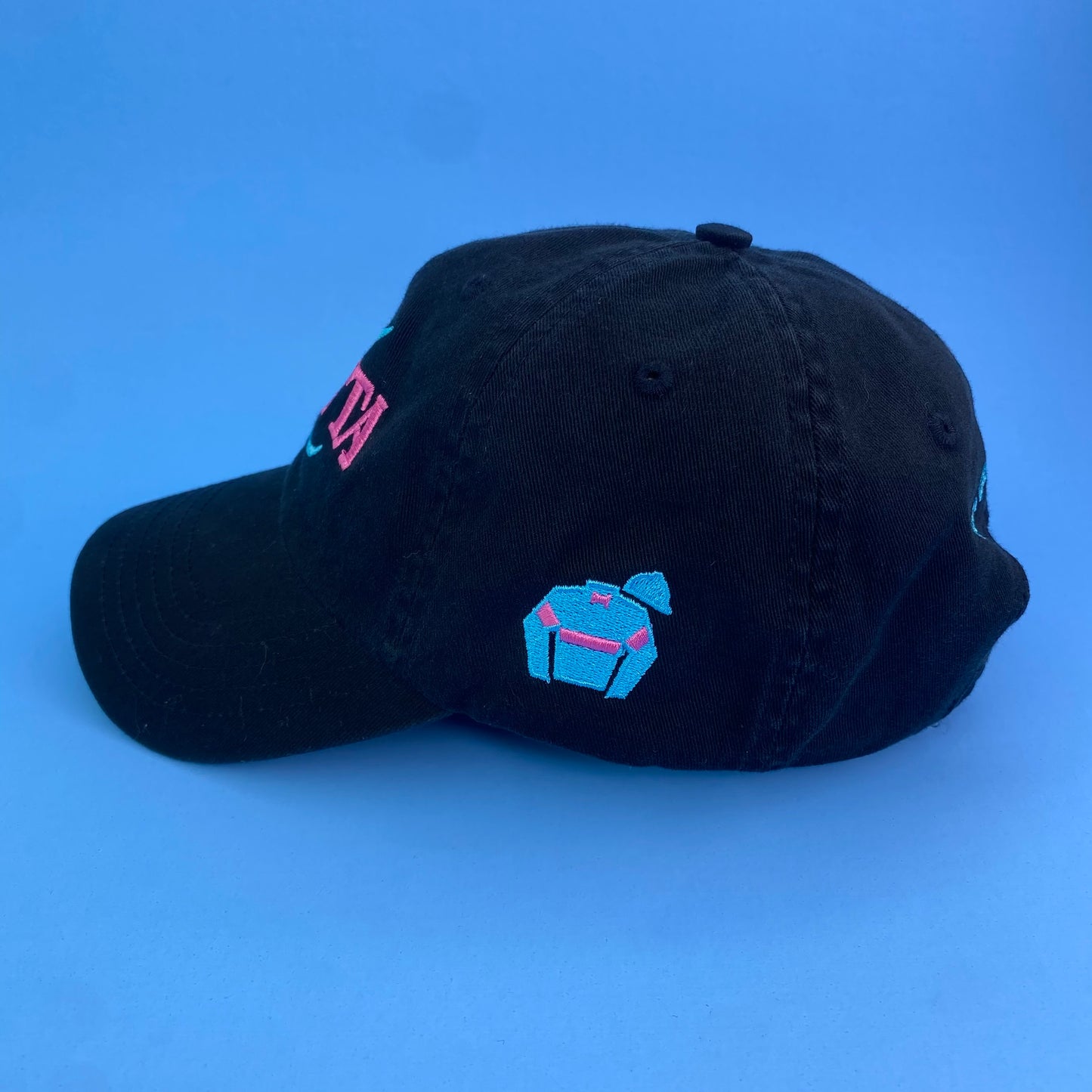 2009 Zenyatta x Breeder’s Cup Classic Horse Racing Hat