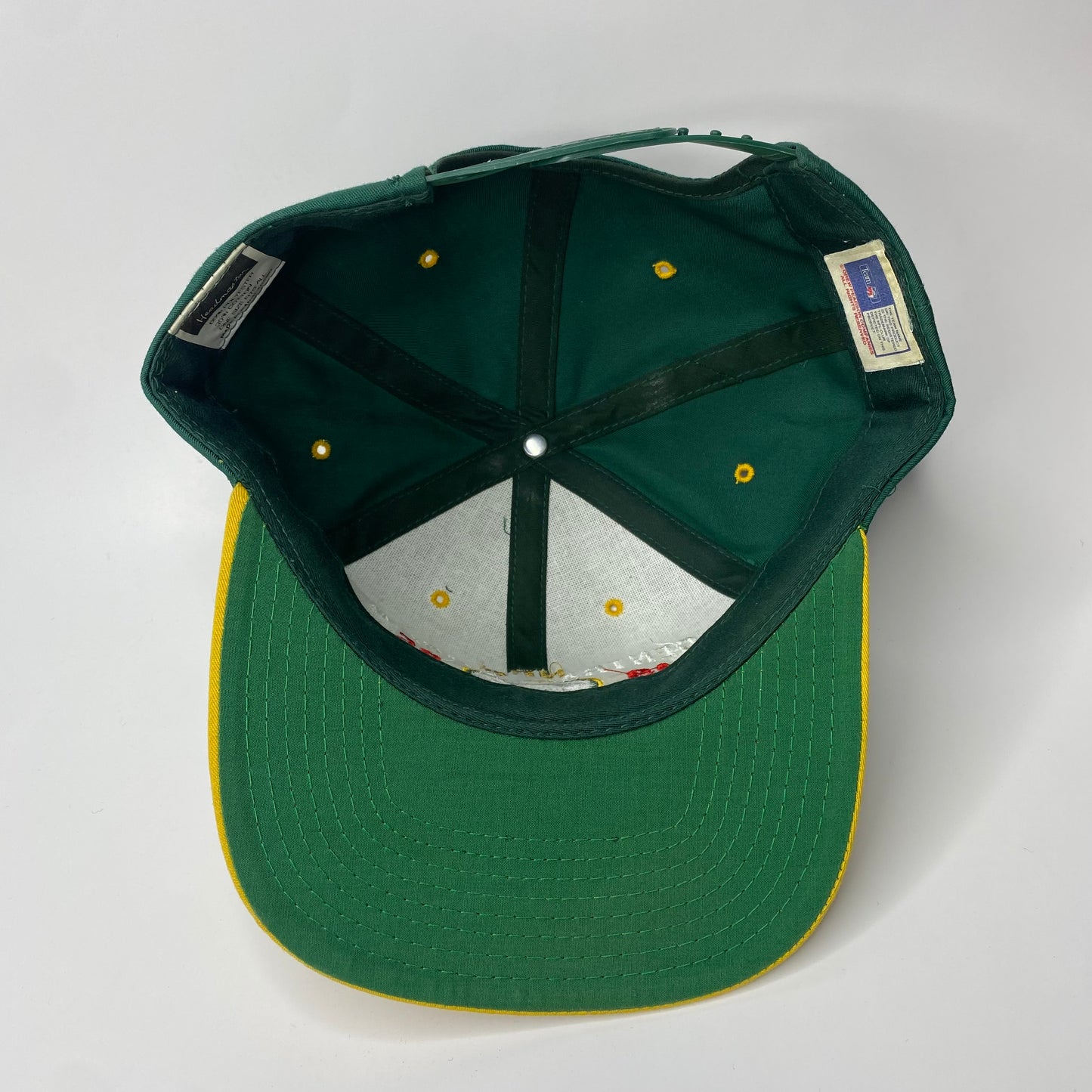 Vintage 1995 Green Bay Packers Central Division Champions Hat