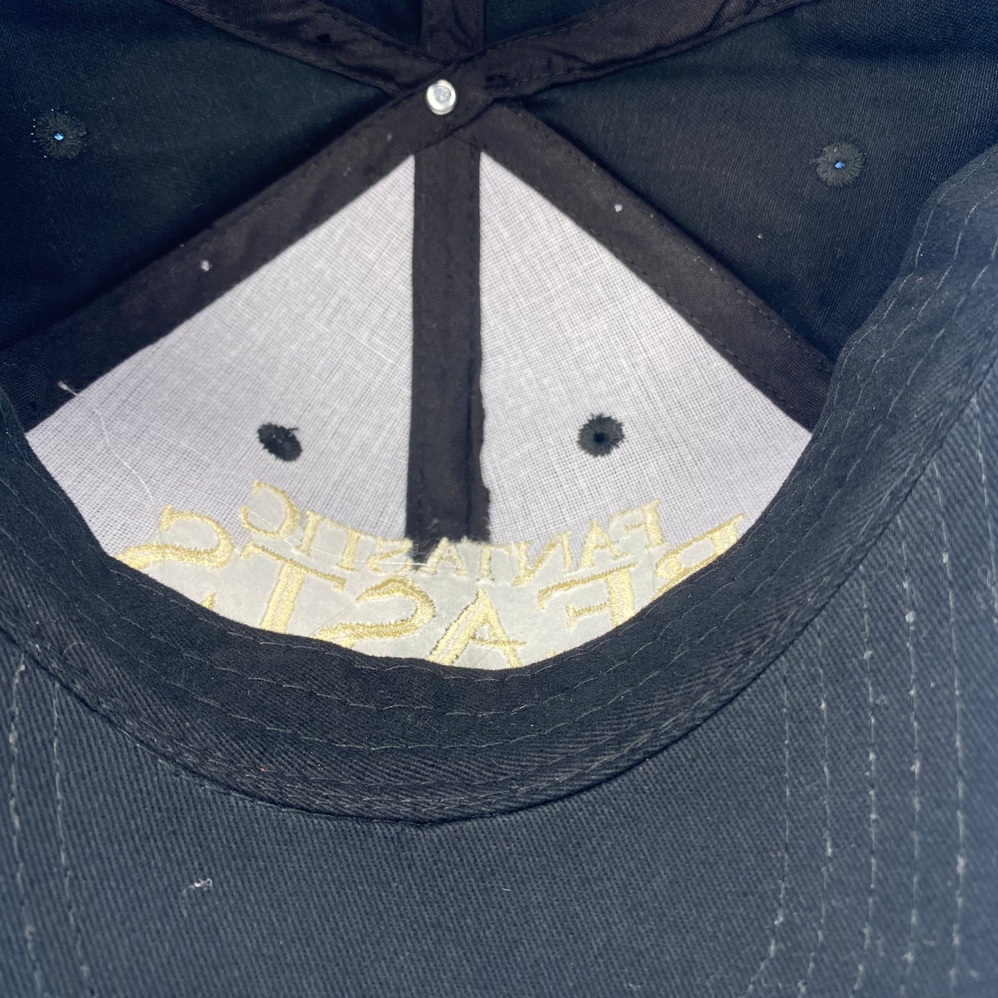 Fantastic Beasts and Where To Find Them (2016) Movie Promo Hat