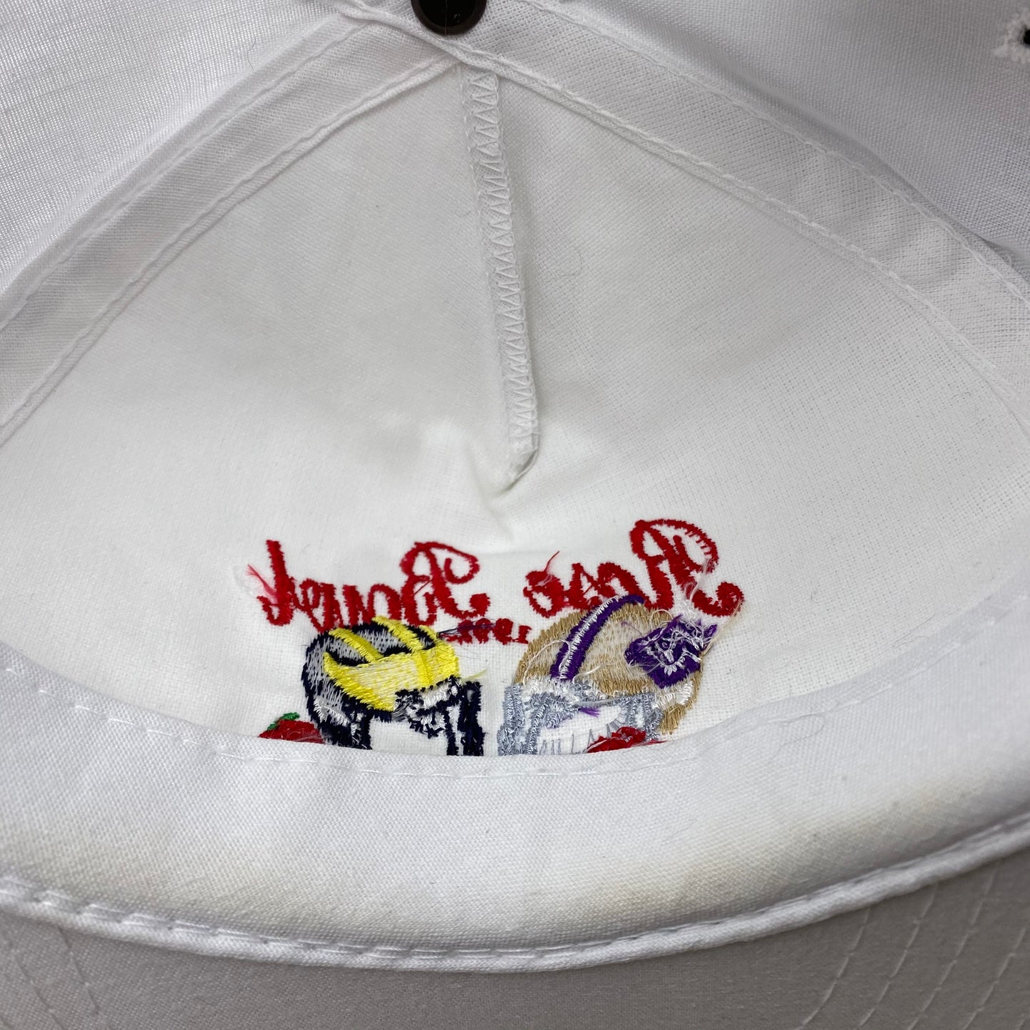 Vintage 90s Rose Bowl - Washington Huskies vs Michigan Wolverines Rose Bowl Hat