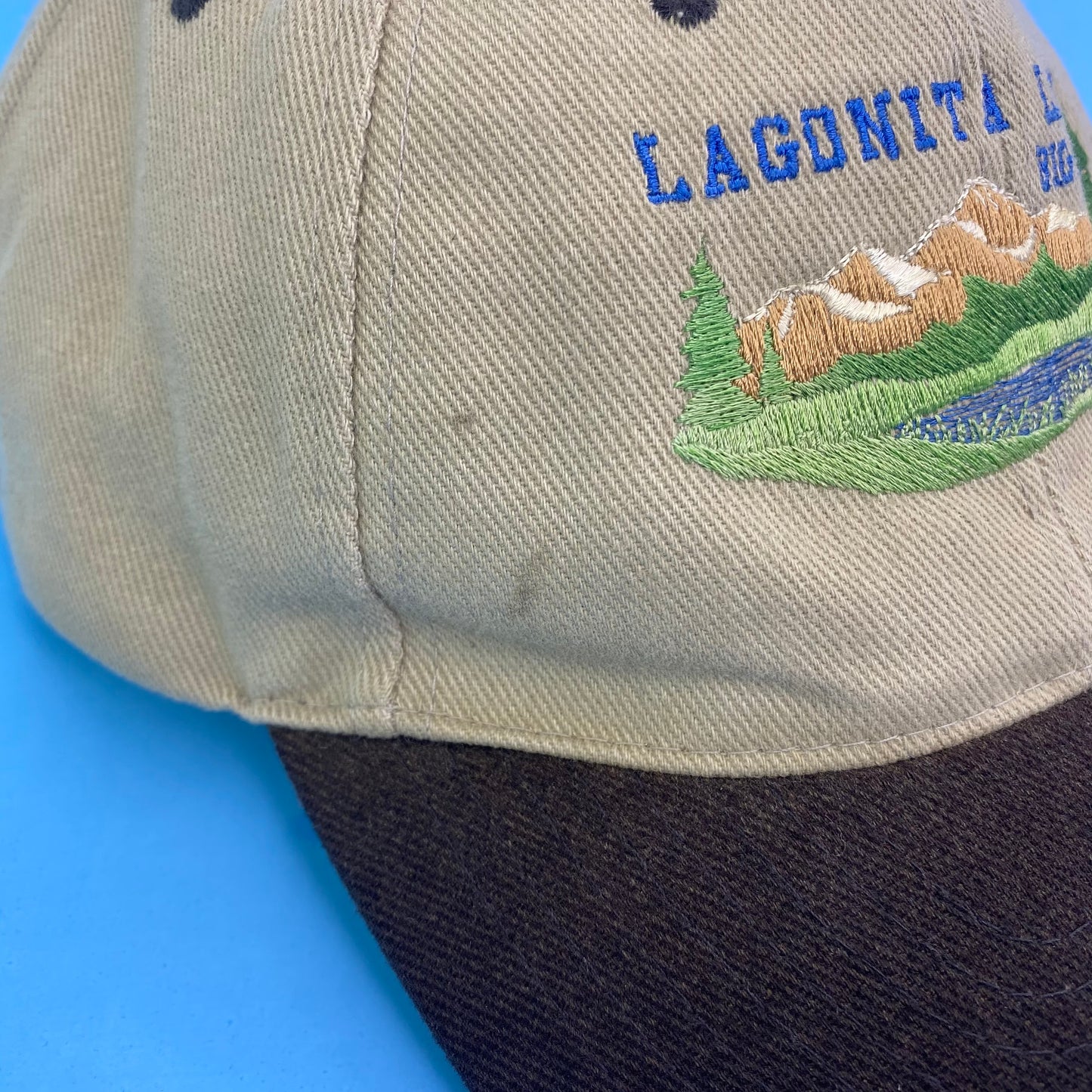 Vintage Lagonita Lodge in Big Bear Dad Hat