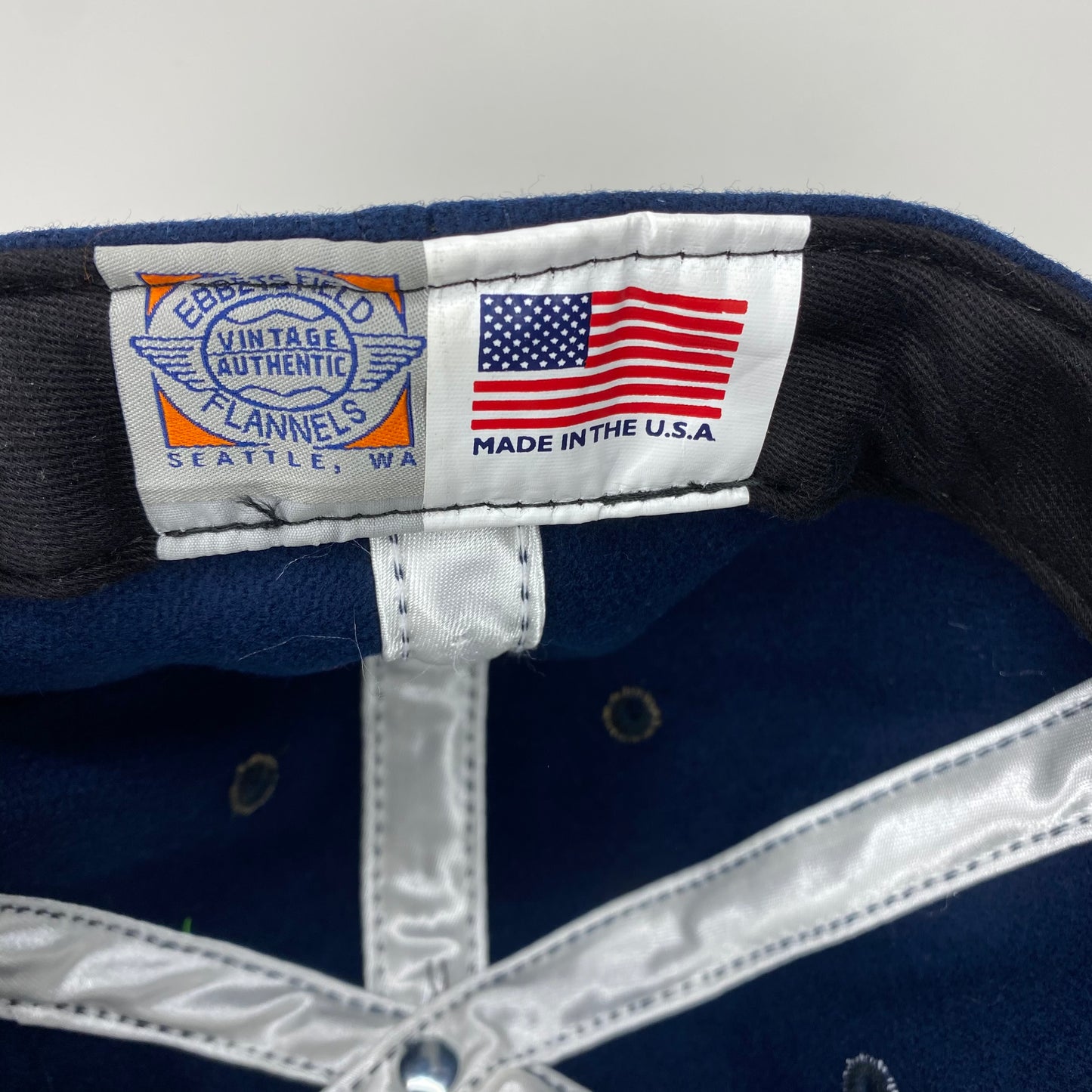 IW Ebbets Field Hat