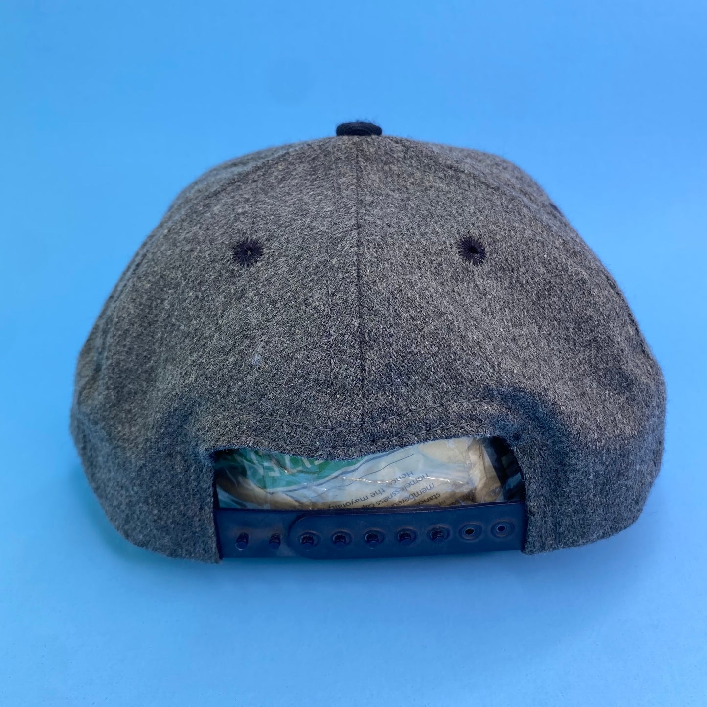 Vintage 90s UCLA Bruins Hat - B
