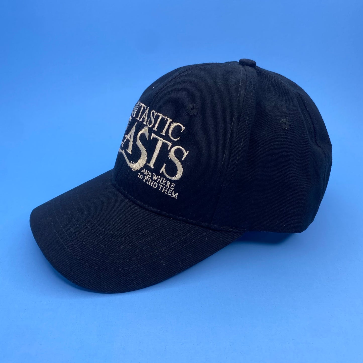 Fantastic Beasts and Where To Find Them (2016) Movie Promo Hat