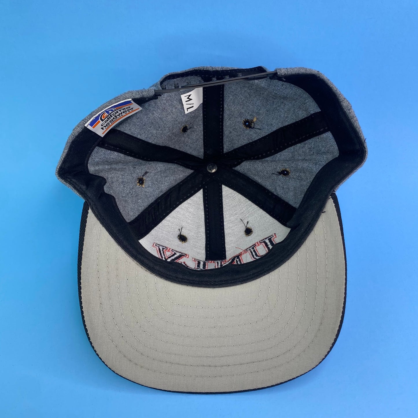 Vintage 90s University of Nevada Las Vegas (UNLV) Rebels College Football Hat