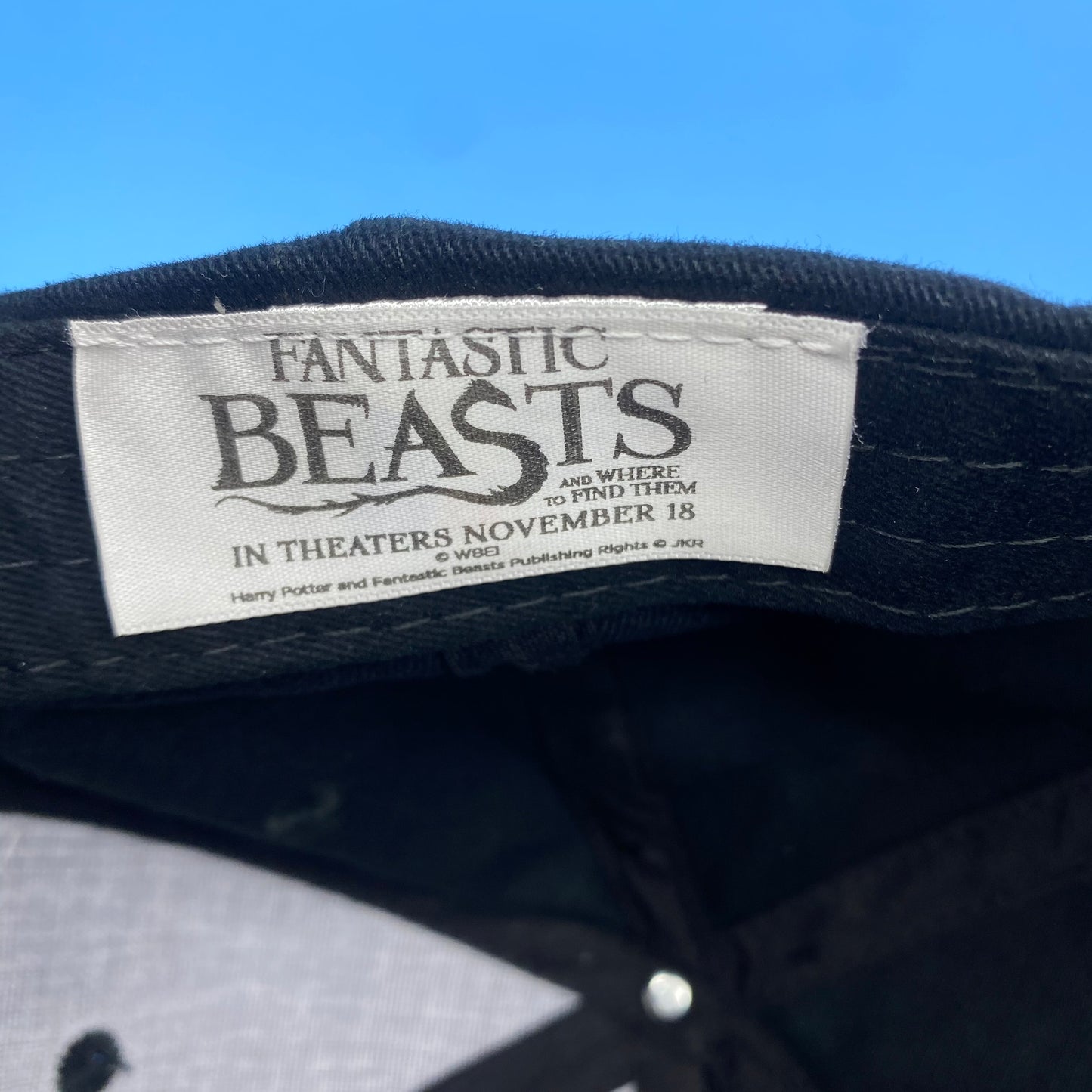 Fantastic Beasts and Where To Find Them (2016) Movie Promo Hat