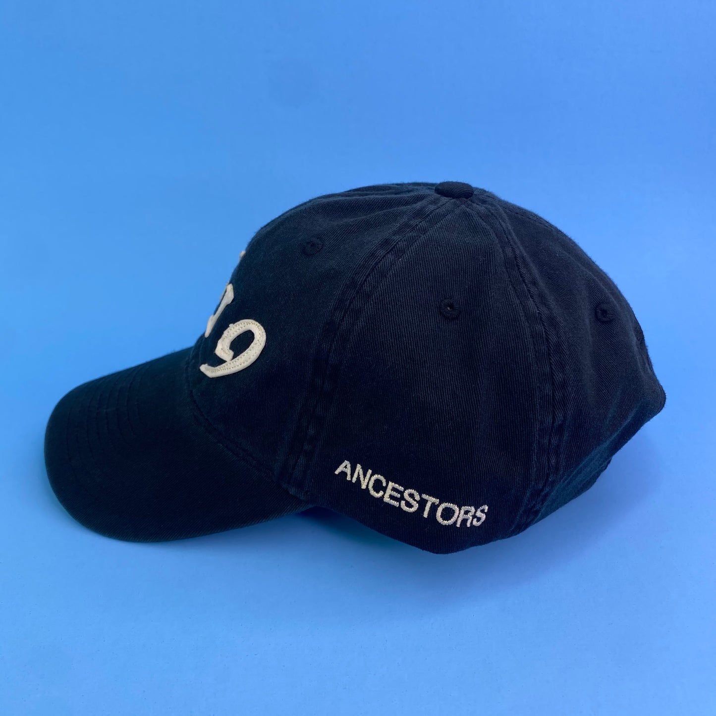 Spike Lee 40 Acres x 1619 Hat