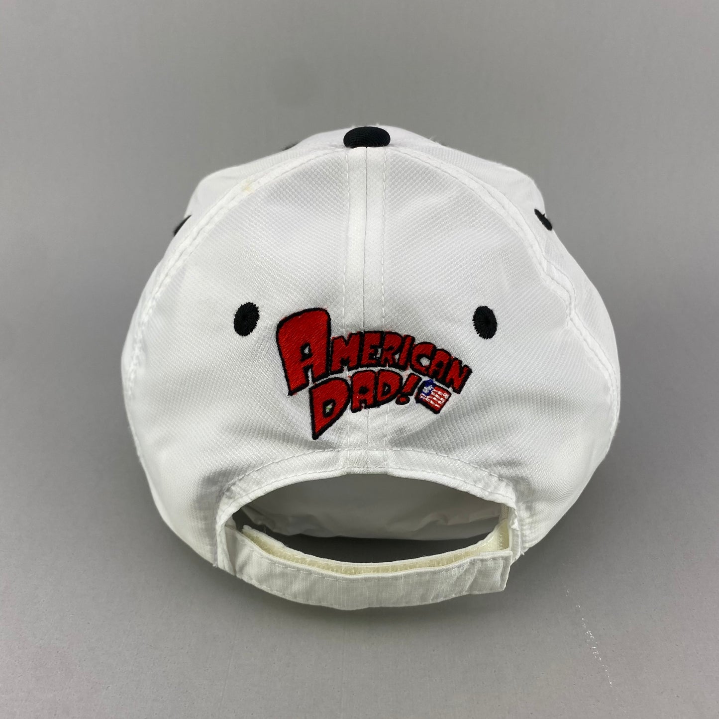 American Dad TV Show Hat
