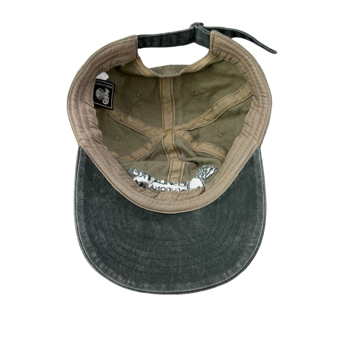 Joshua Tree Dad Hat