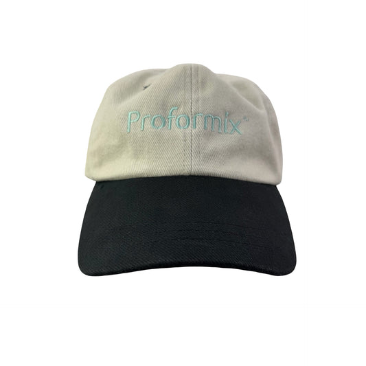 Vintage 90s 2000s Proformix Chevron Hat