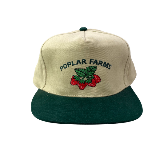 Vintage 90s Hat - Poplar Farms - A