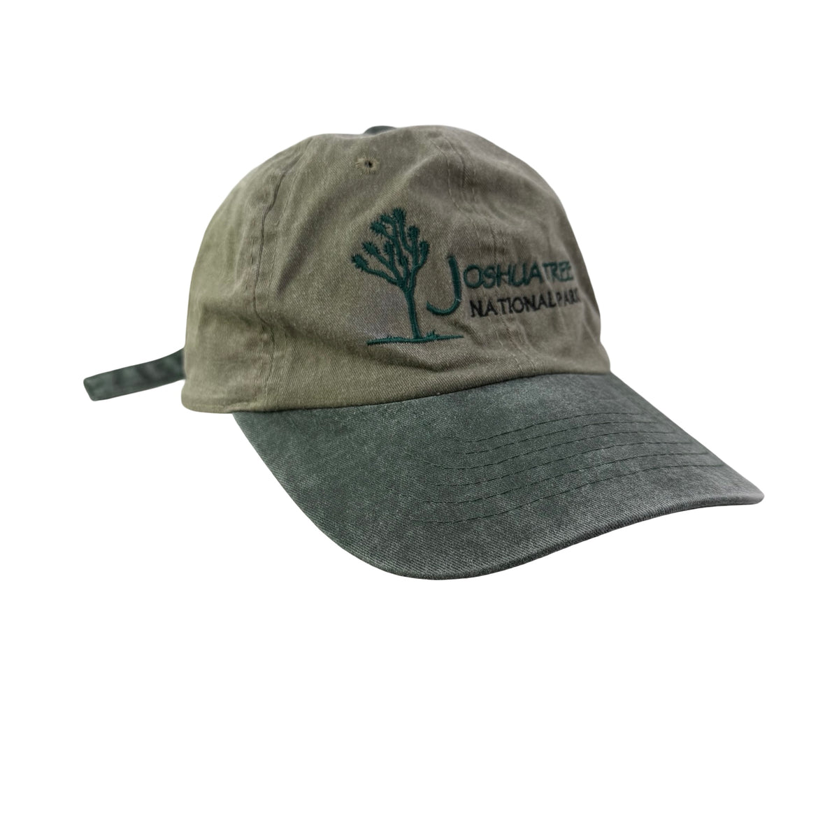 Joshua Tree Dad Hat