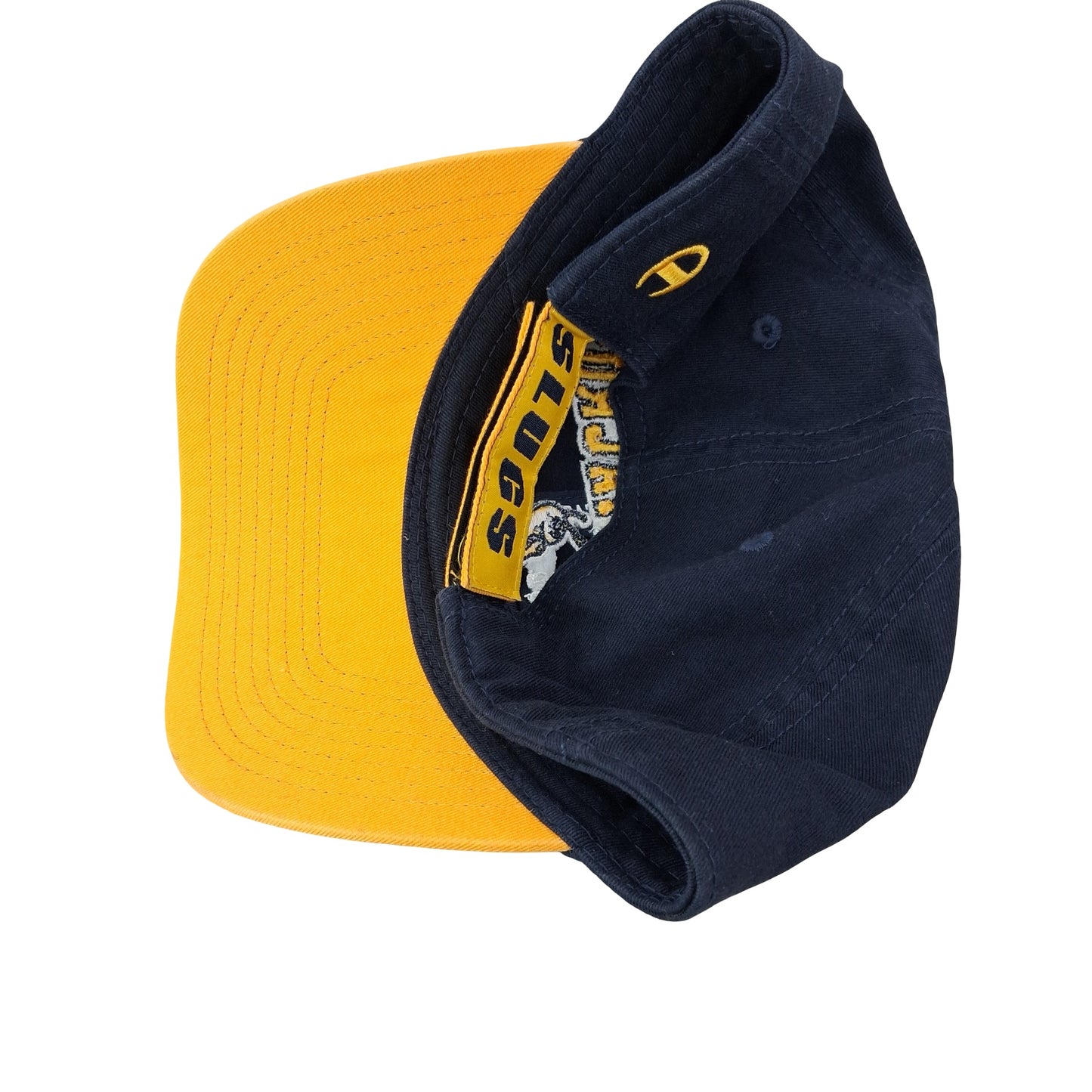 UC Santa Cruz College Dad Hat