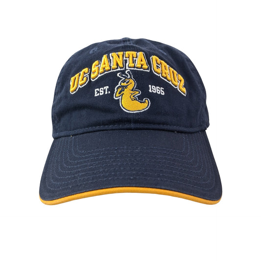 UC Santa Cruz College Dad Hat