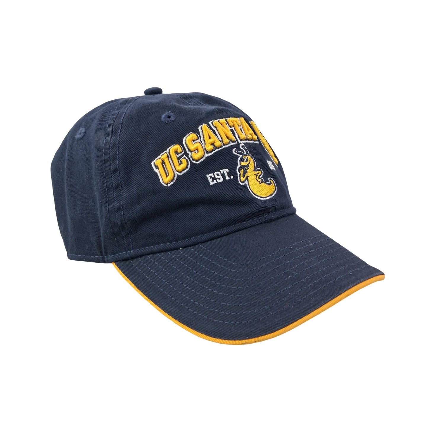 UC Santa Cruz College Dad Hat