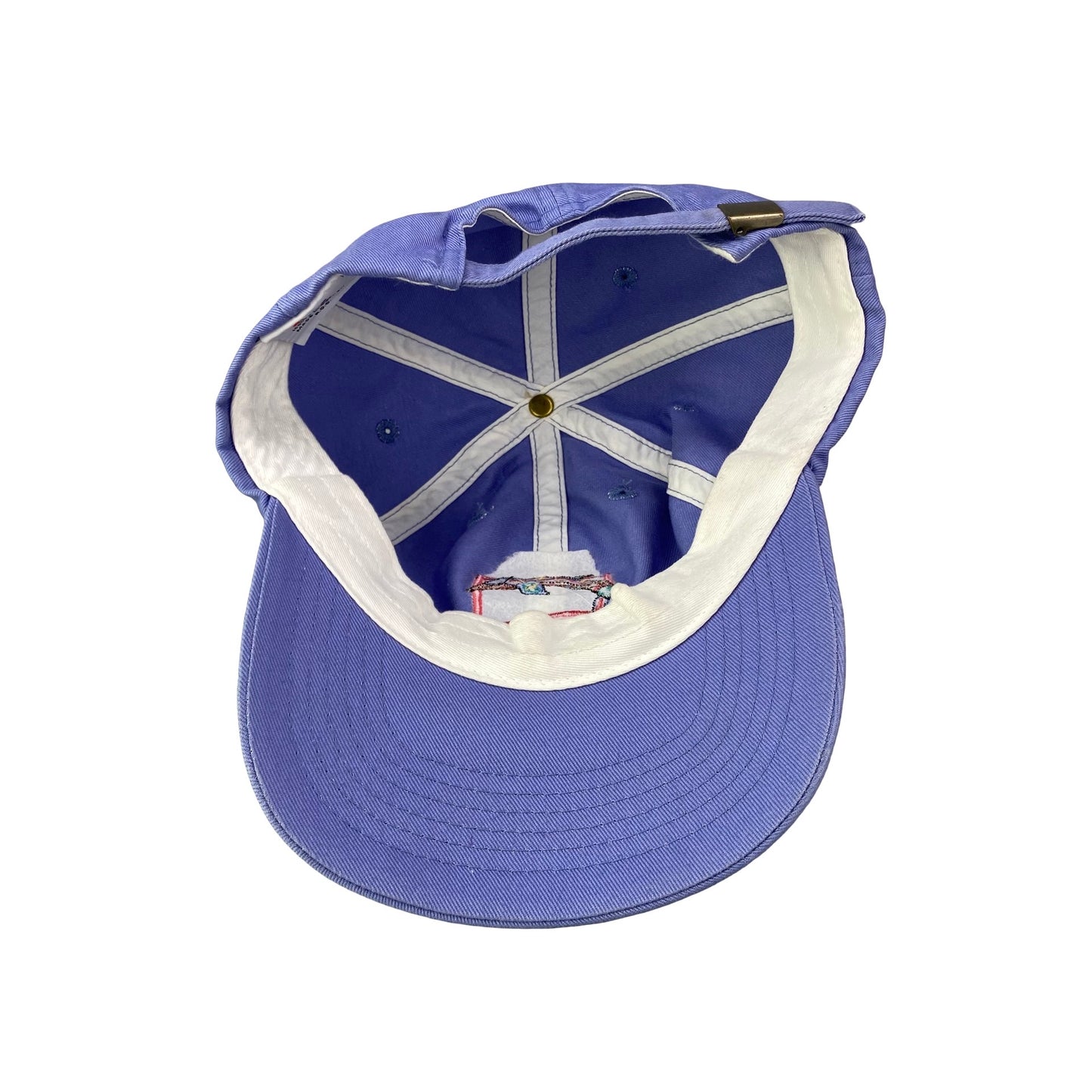 Vintage Hawaii Dolphin Dad Hat