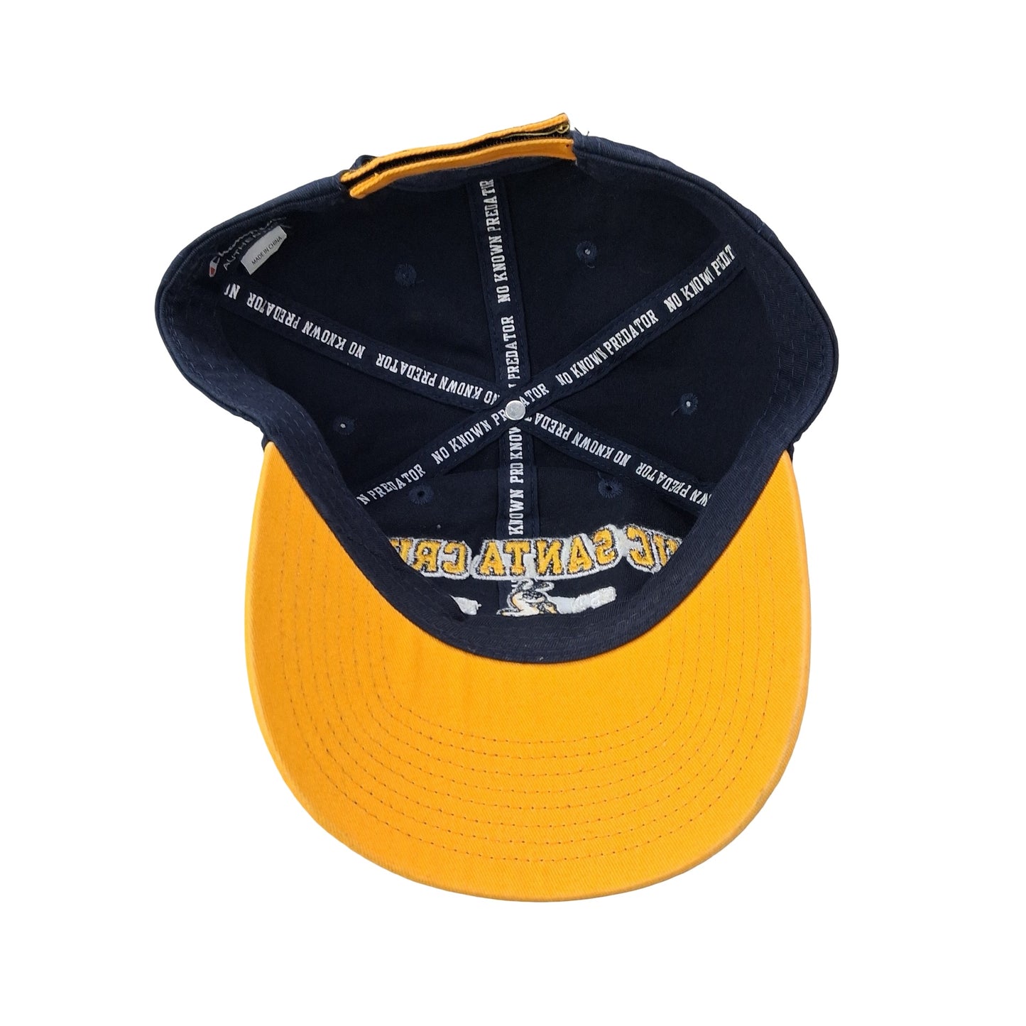UC Santa Cruz College Dad Hat