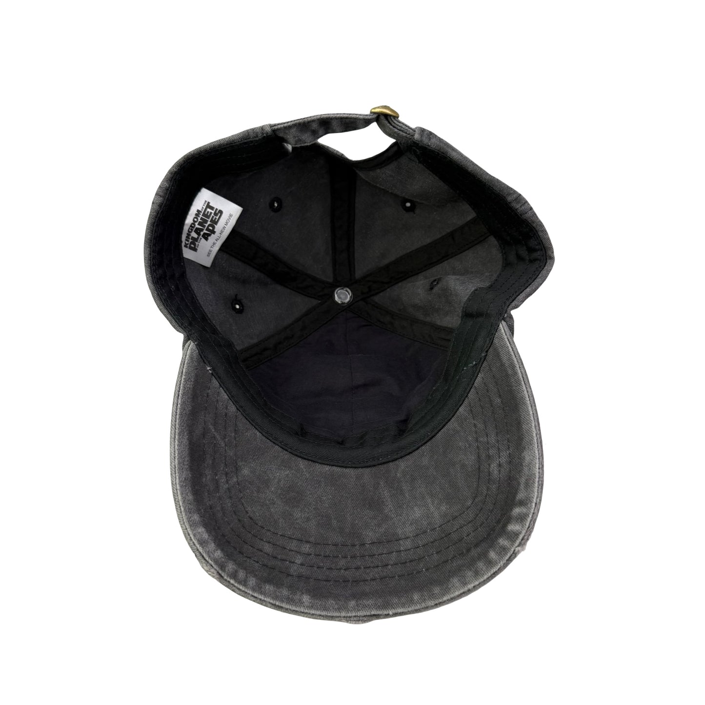 Kingdom of the Planet Apes Movie Dad Hat - B