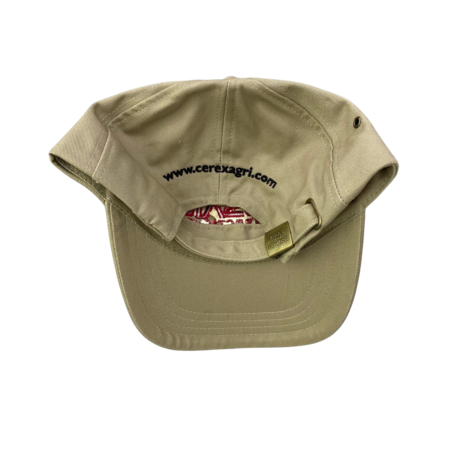 Vintage Assail Insecticide Dad Hat