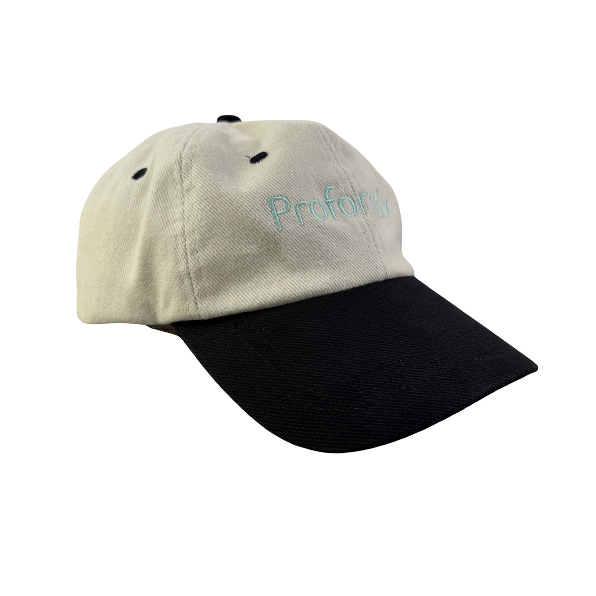 Vintage 90s 2000s Proformix Chevron Hat