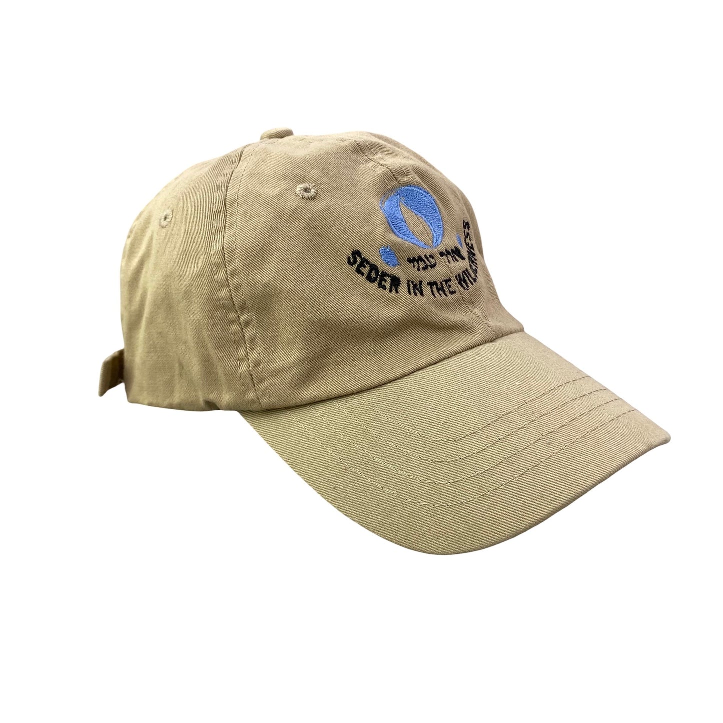 Vintage Passover Seder x Seder in the Wilderness Dad Hat