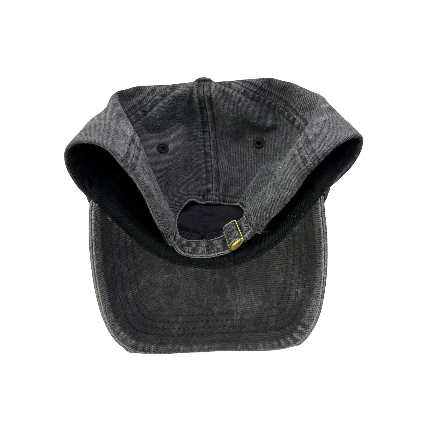 Kingdom of the Planet Apes Movie Dad Hat - B