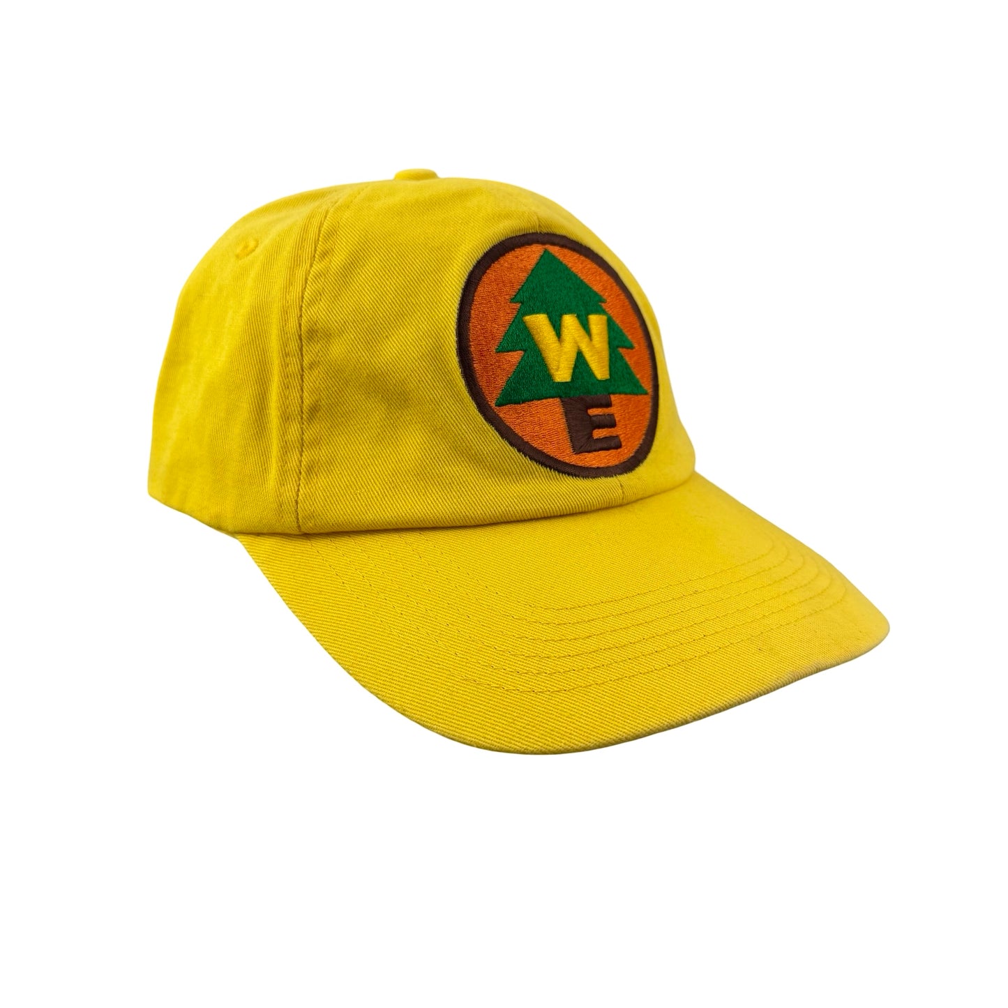 Disney Dad Hat