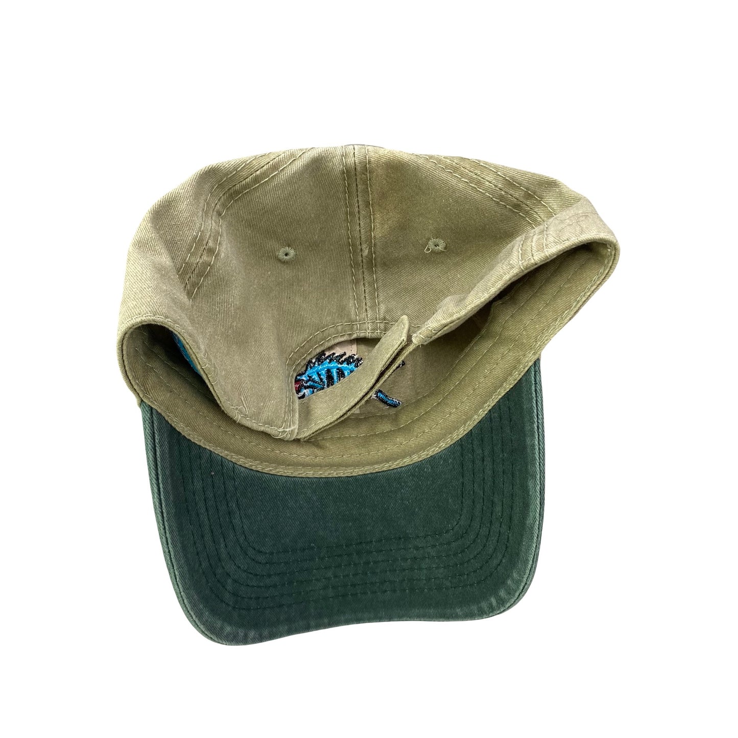 Vintage Bear Lake Dad Hat