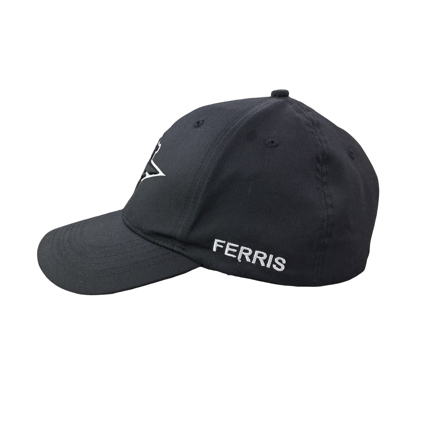 Friends of Ferris Hat